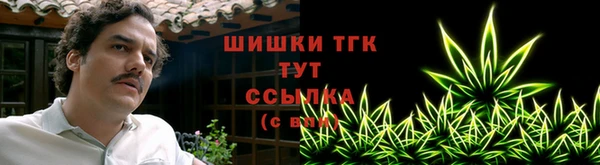 тгк Армянск