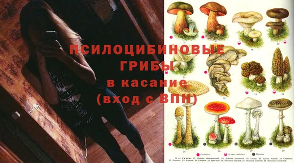 тгк Армянск