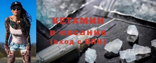 трава Аркадак