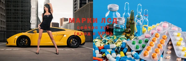 трава Аркадак